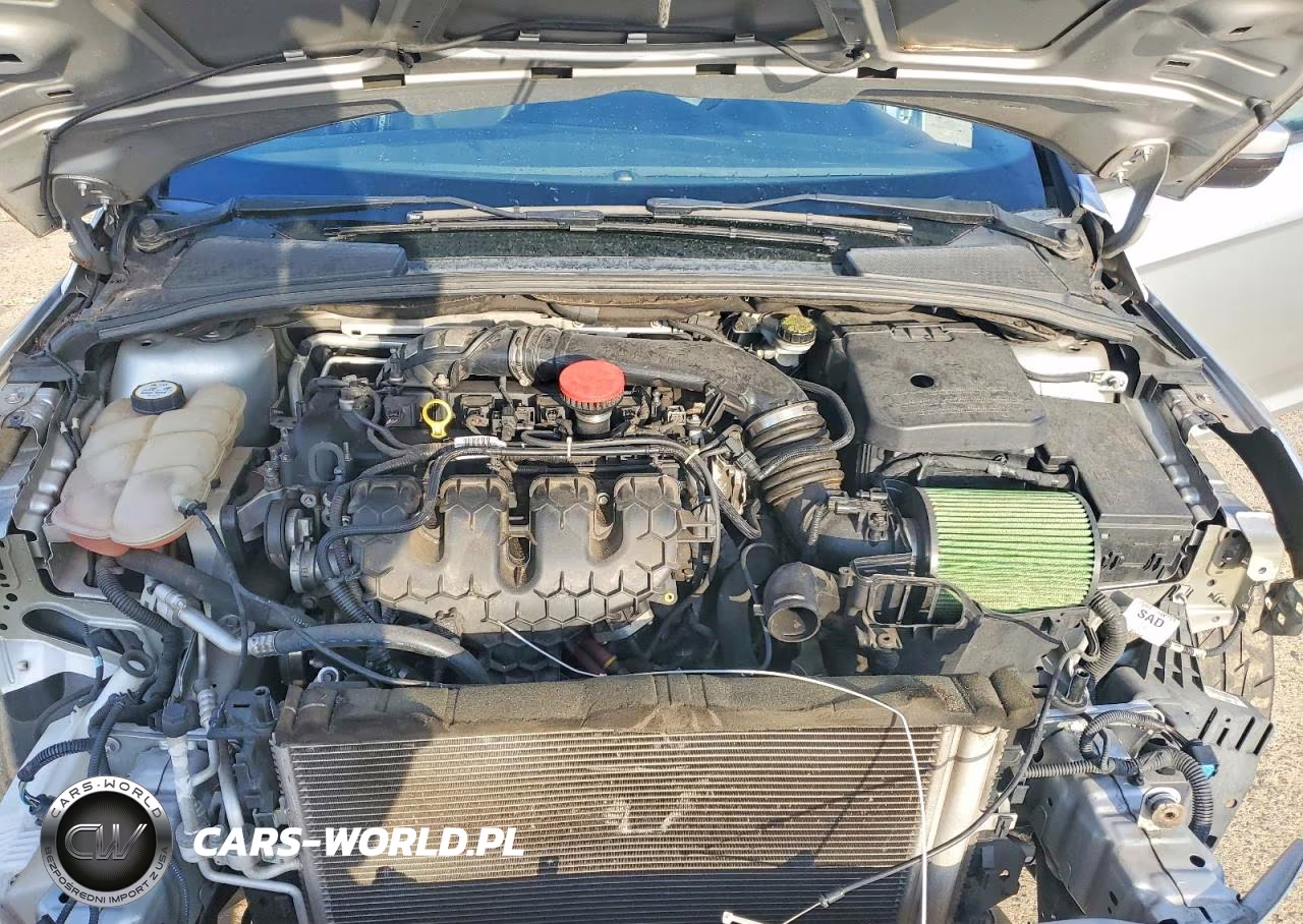 2013 Ford Focus St VIN:1FADP3L90DL288461 - 11