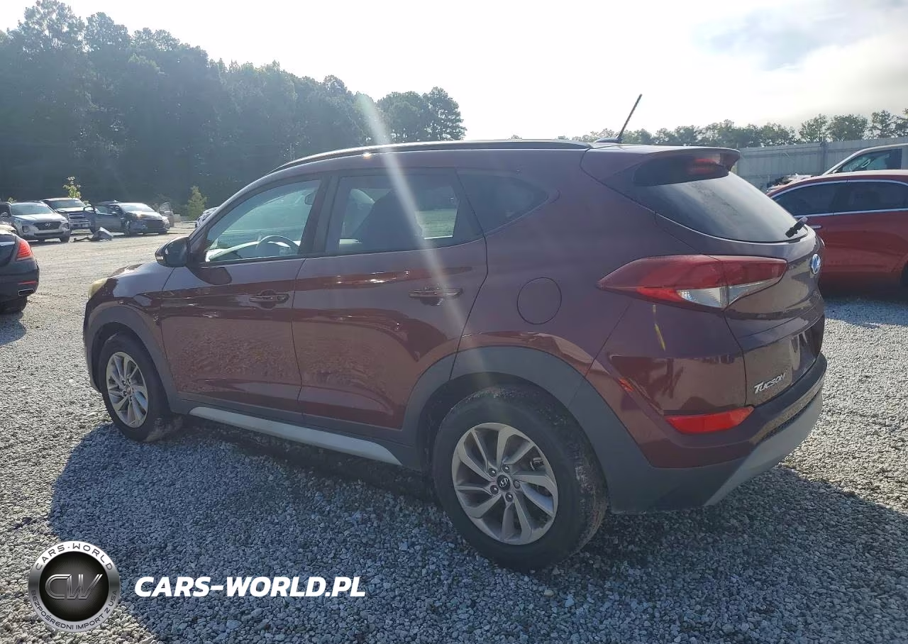 2017 Hyundai Tucson Eco VIN:KM8J33A22HU424518 - 2
