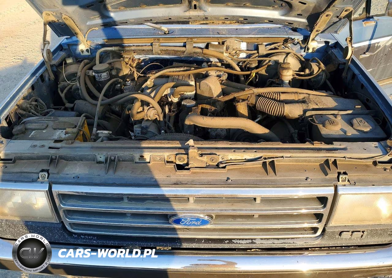 1991 Ford F150 VIN:1FTEX15YXMKA52350 - 11