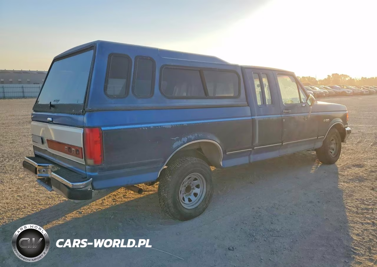 1991 Ford F150 VIN:1FTEX15YXMKA52350 - 3