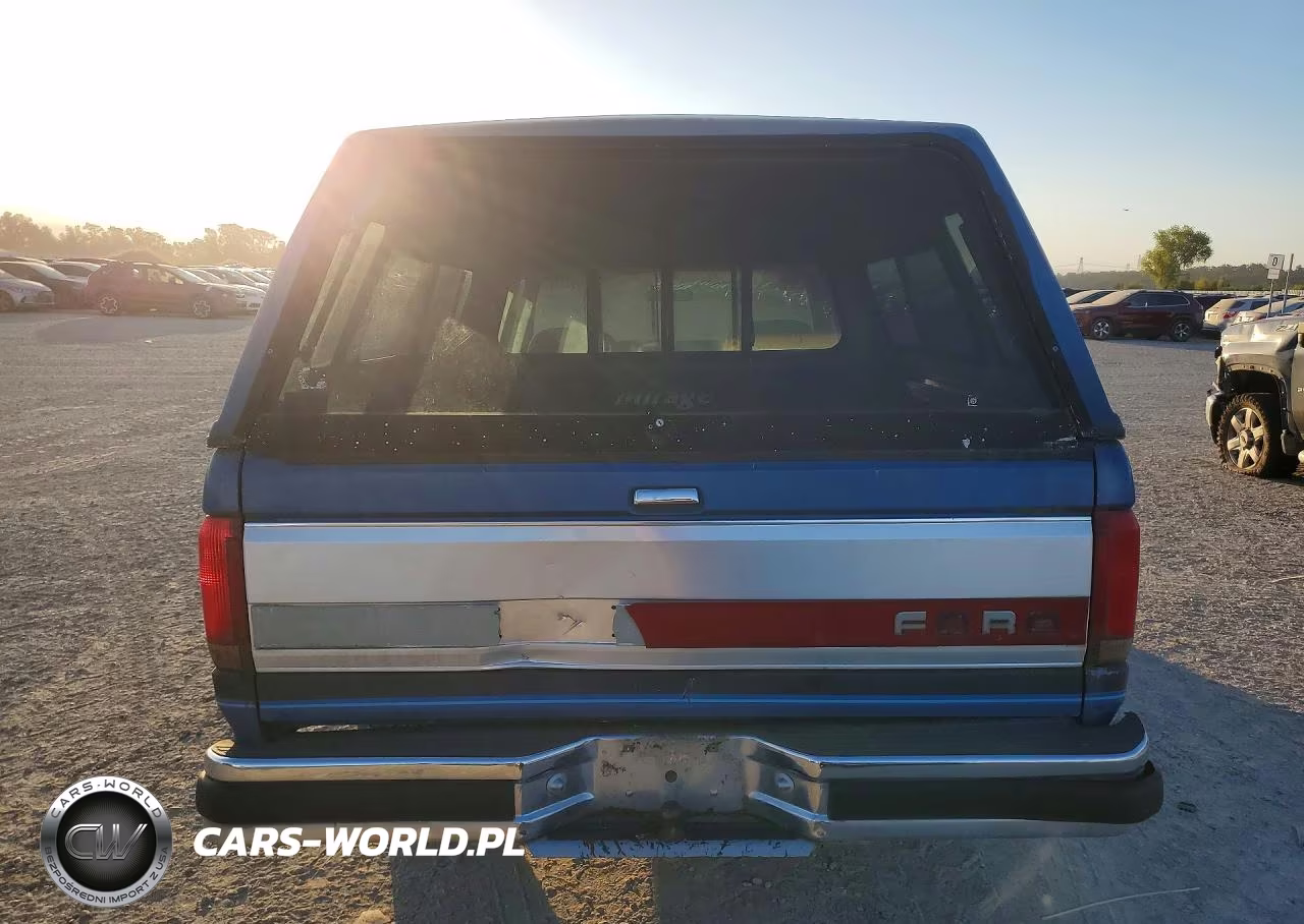 1991 Ford F150 VIN:1FTEX15YXMKA52350 - 6