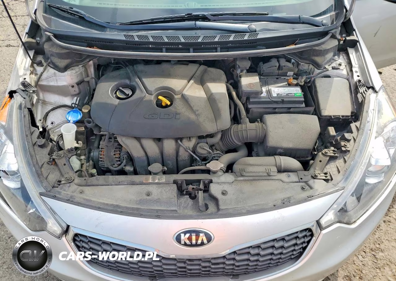 2014 Kia Forte Ex VIN:KNAFX5A82E5162291 - 11