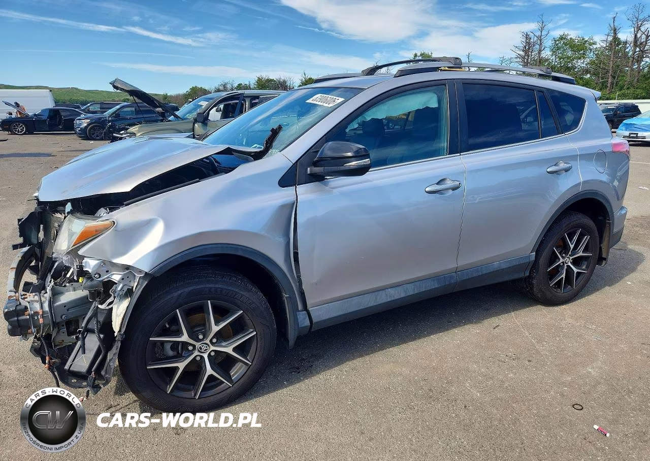 2018 Toyota Rav4 Se