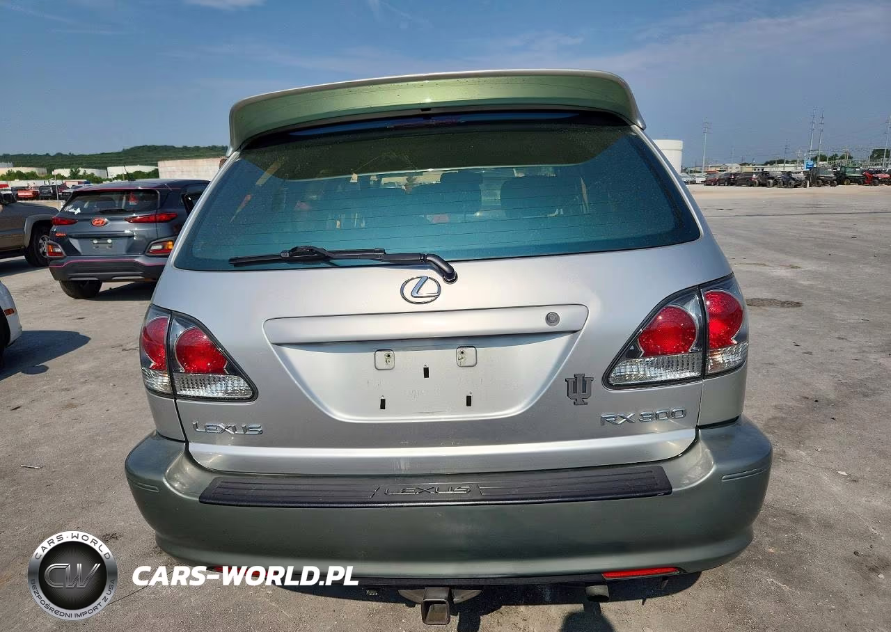 2002 Lexus Rx 300 VIN:JTJHF10U020237193 - 6