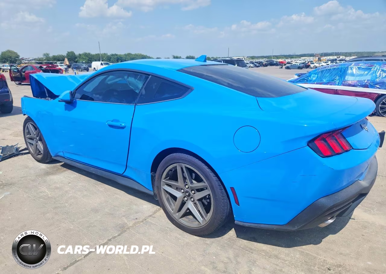 2025 Ford Mustang VIN:1FA6P8TH5S5109281 - 2