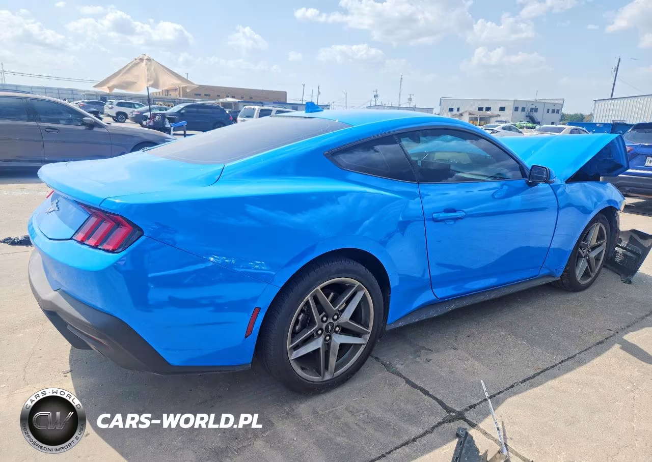 2025 Ford Mustang VIN:1FA6P8TH5S5109281 - 3