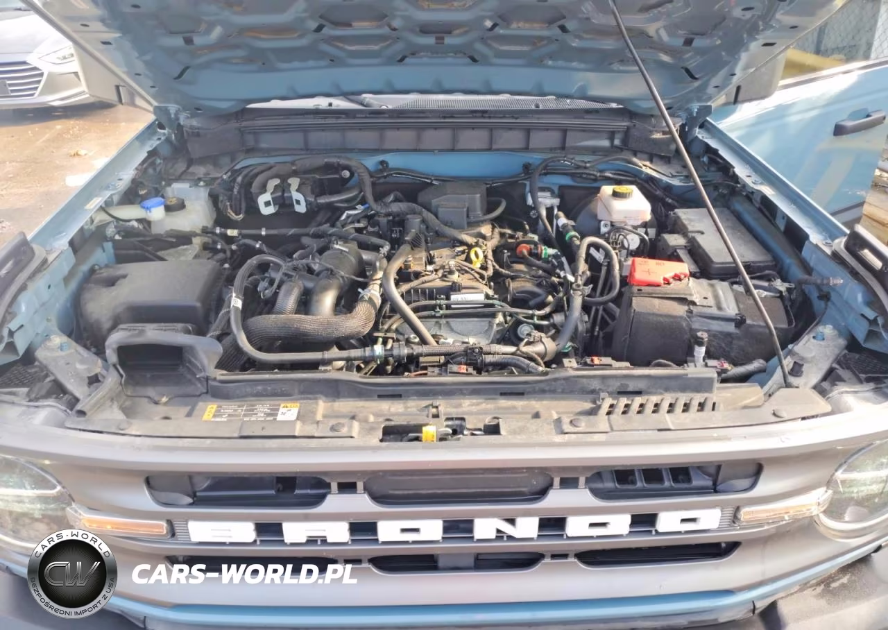 2021 Ford Bronco Base VIN:1FMDE5BH2MLA85202 - 12