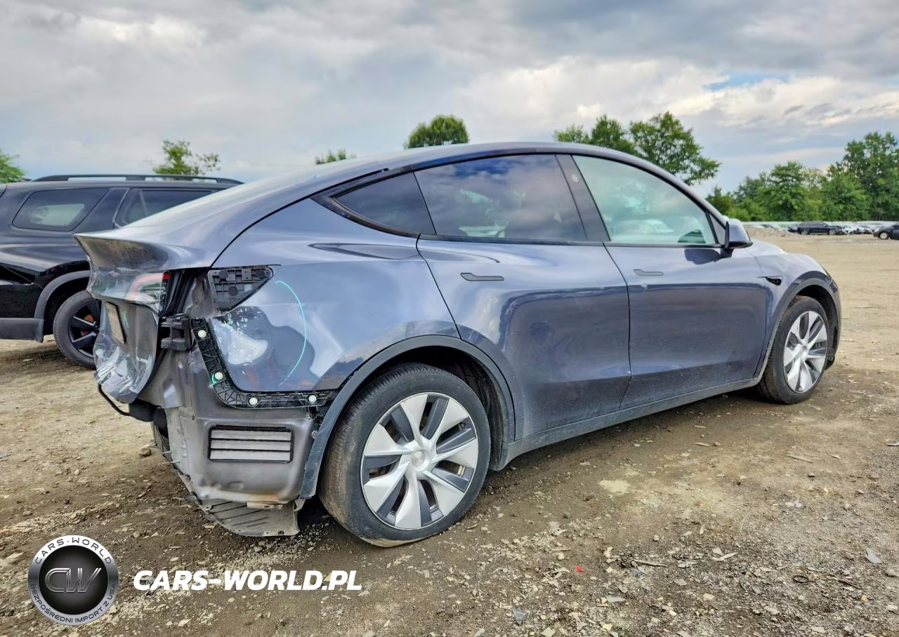 2023 Tesla Model Y VIN:7SAYGDEE0PF854396 - 3