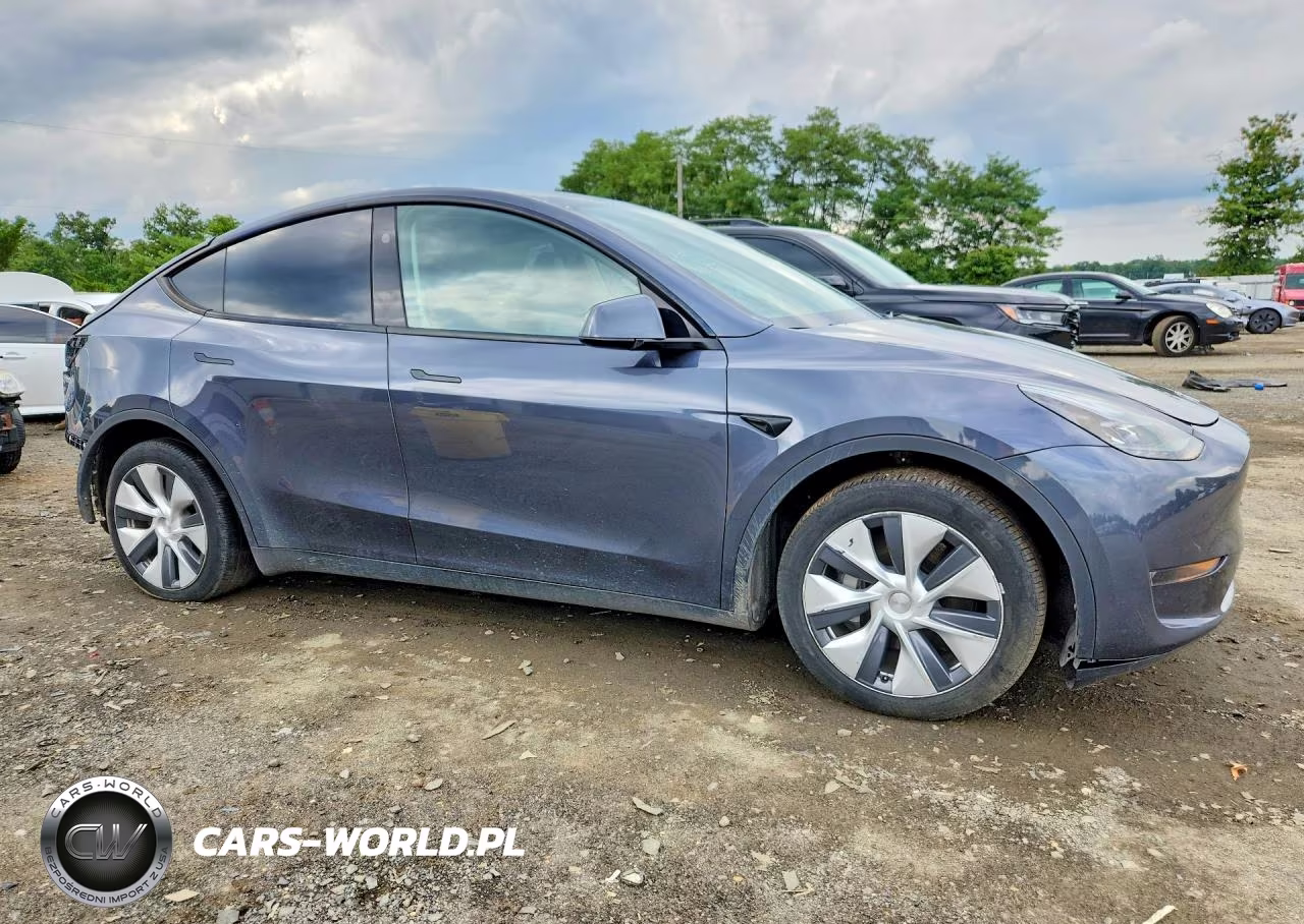 2023 Tesla Model Y VIN:7SAYGDEE0PF854396 - 4