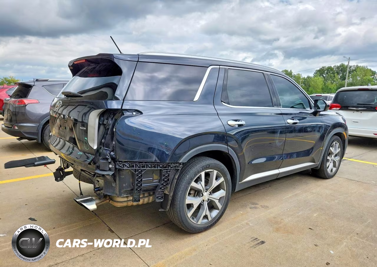 2020 Hyundai Palisade Sel VIN:KM8R4DHE9LU112811 - 3