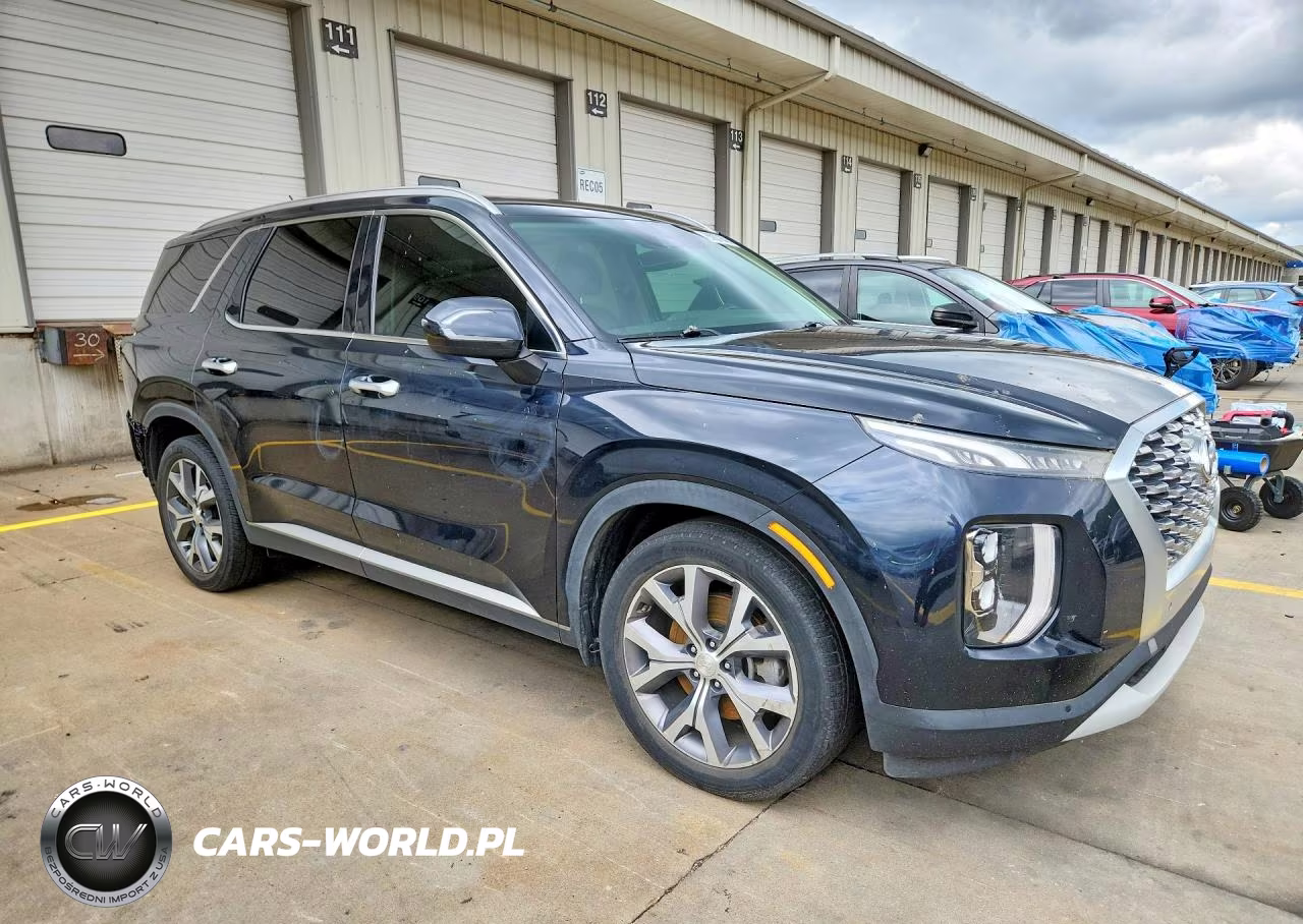 2020 Hyundai Palisade Sel VIN:KM8R4DHE9LU112811 - 4