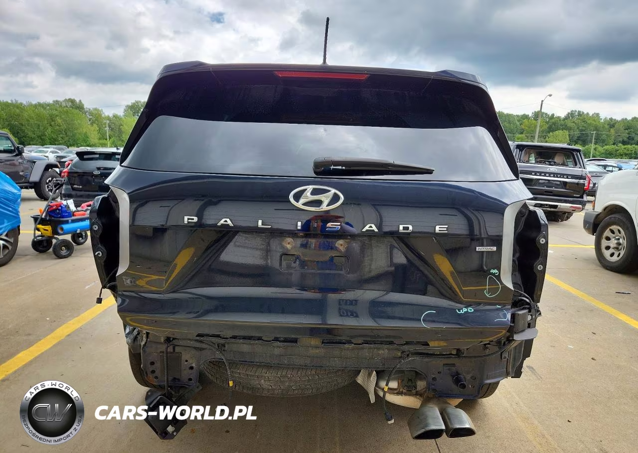 2020 Hyundai Palisade Sel VIN:KM8R4DHE9LU112811 - 6