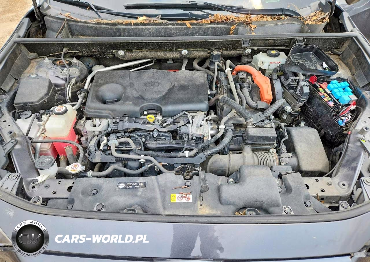 2019 Toyota Rav4 Xse VIN:JTMEWRFVXKJ005229 - 12