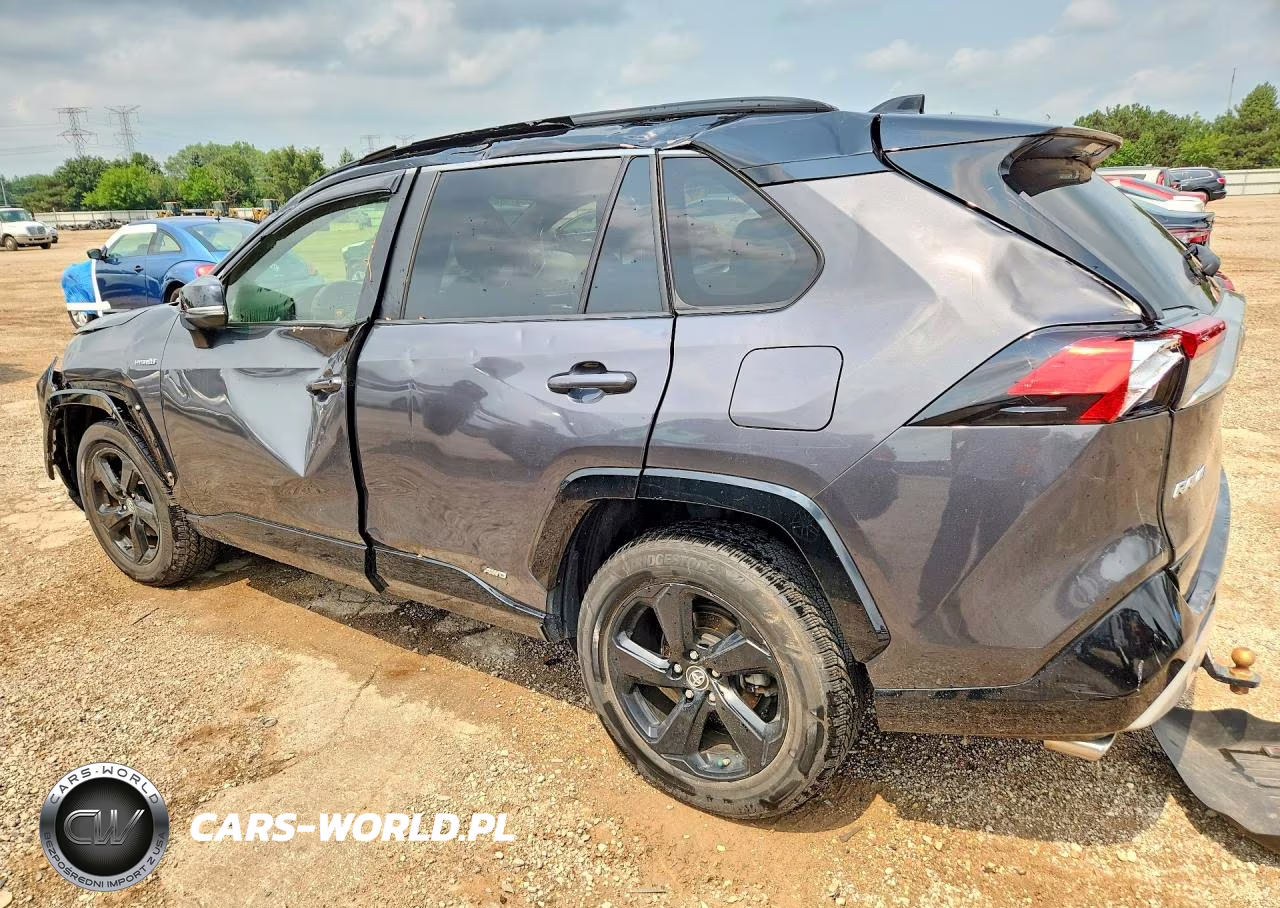 2019 Toyota Rav4 Xse VIN:JTMEWRFVXKJ005229 - 2