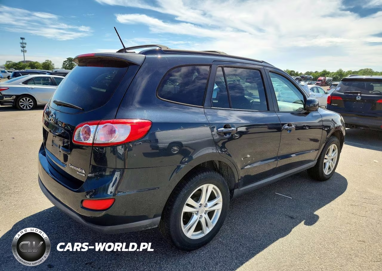 2010 Hyundai Santa Fe Se VIN:5NMSHDAG3AH343083 - 3