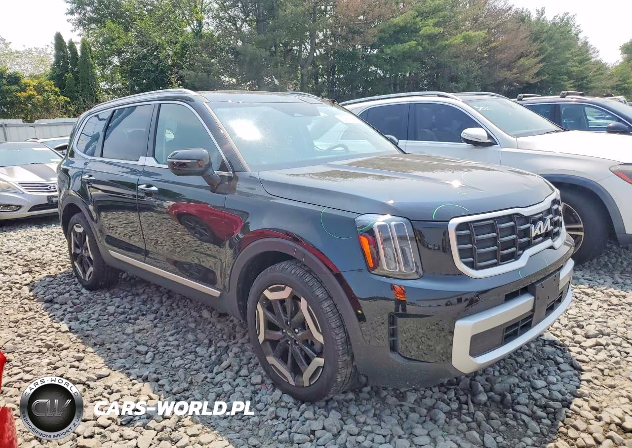 2025 Kia Telluride S VIN:5XYP6DGC2SG734267 - 4