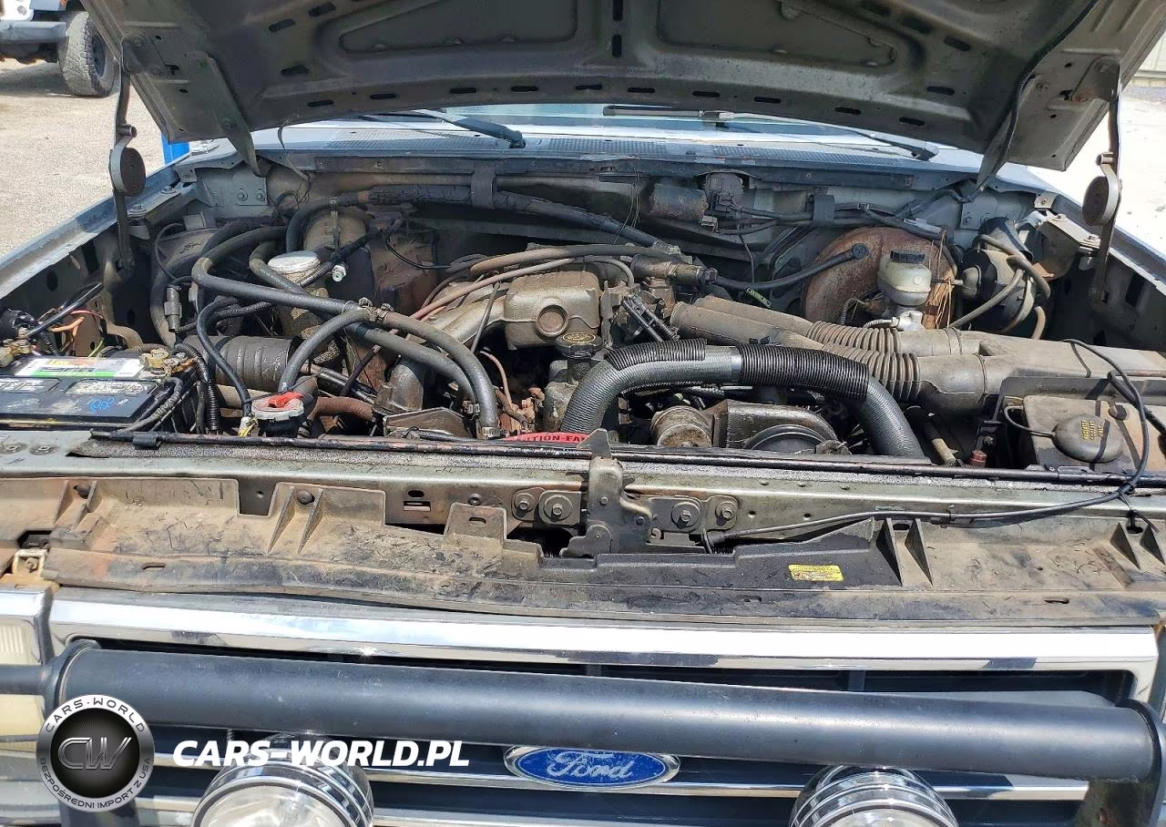 1991 Ford F150 VIN:1FTDF15Y3MNA27996 - 11