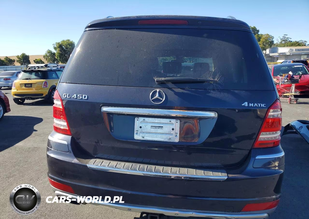 2010 Mercedes-Benz Gl 450 4Matic VIN:4JGBF7BE8AA587550 - 6