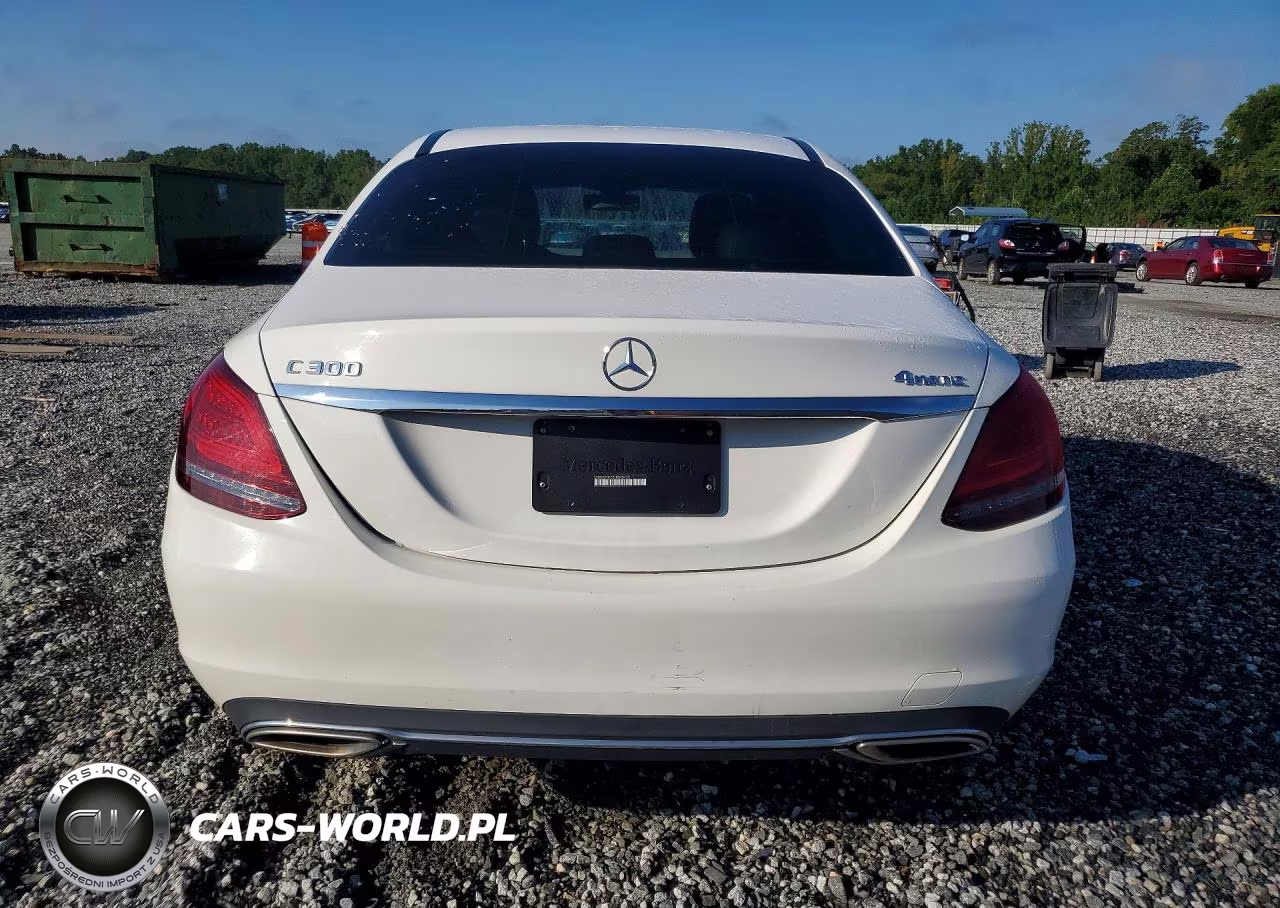 2020 Mercedes-Benz C 300 4Matic VIN:WDDWF8EB3LR543429 - 6