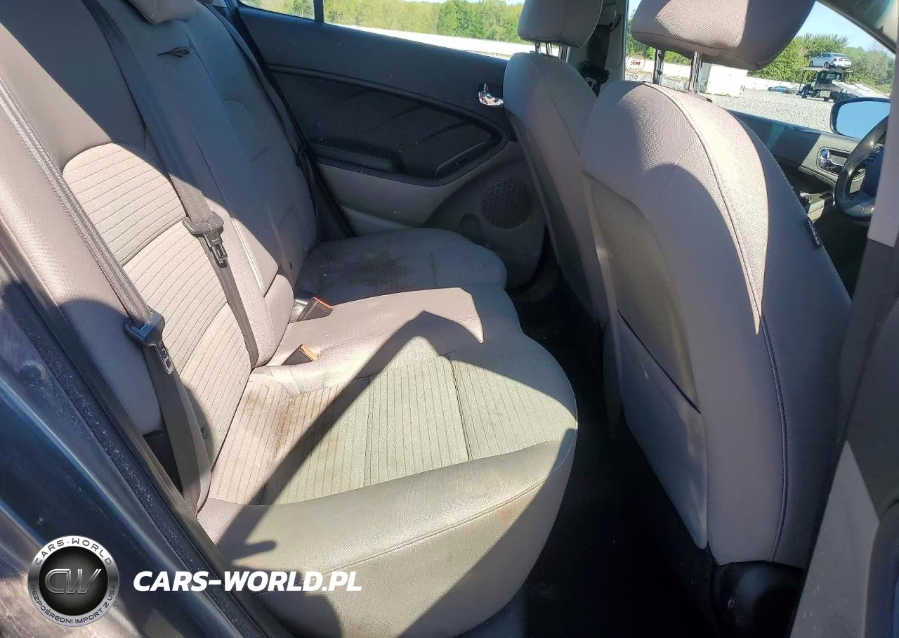 2016 Kia Forte Lx VIN:KNAFX4A65G5454108 - 10