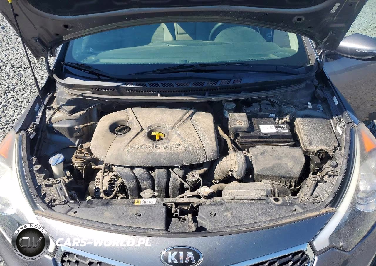 2016 Kia Forte Lx VIN:KNAFX4A65G5454108 - 11