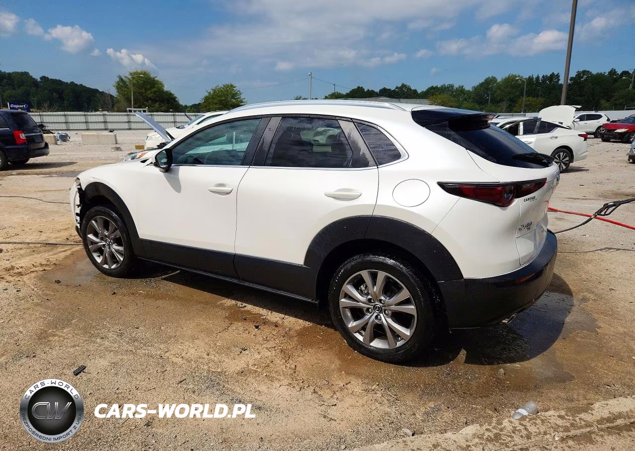 2023 Mazda Cx-30 Select VIN:3MVDMBBM7PM543868 - 2