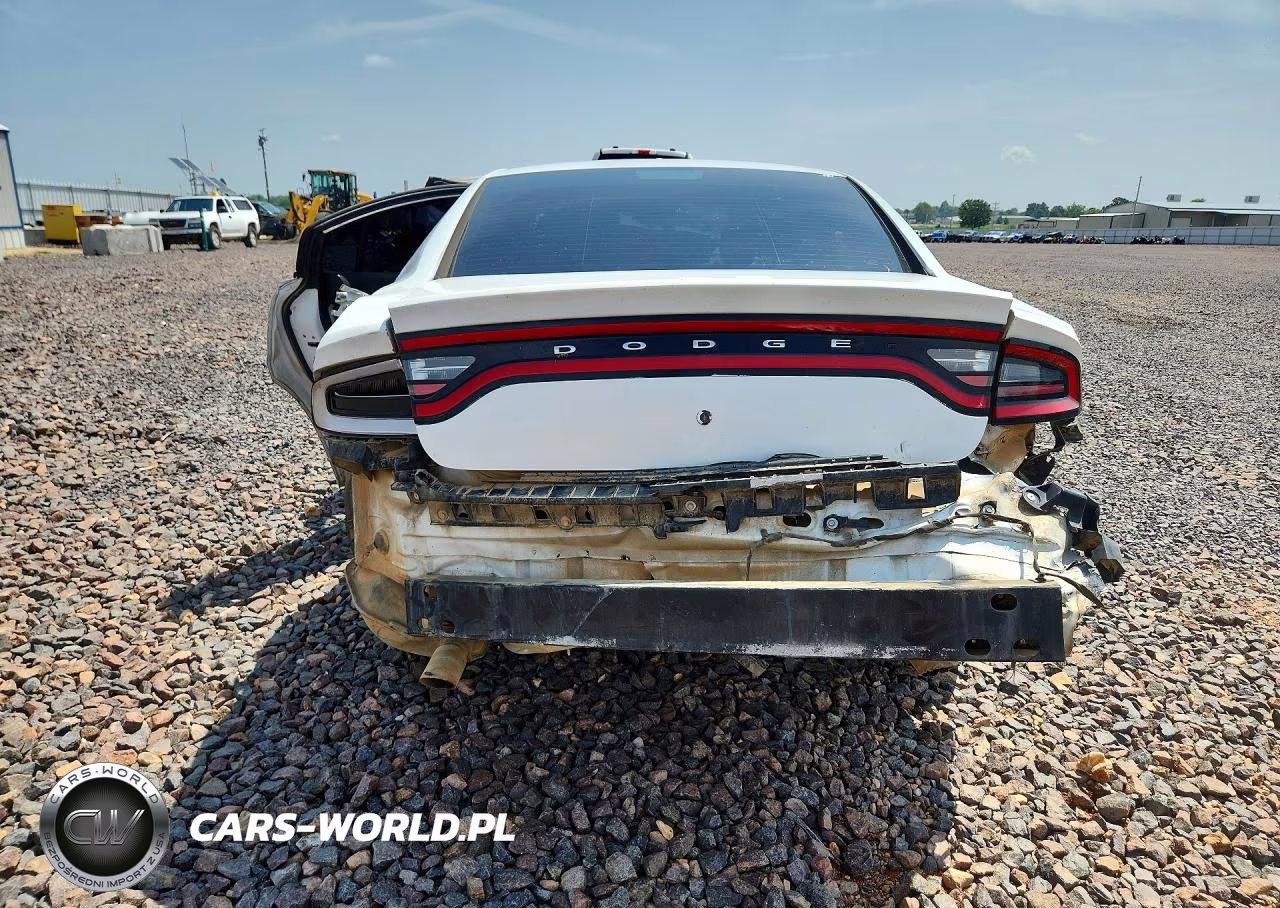 2016 Dodge Charger Police VIN:2C3CDXAG3GH165377 - 6