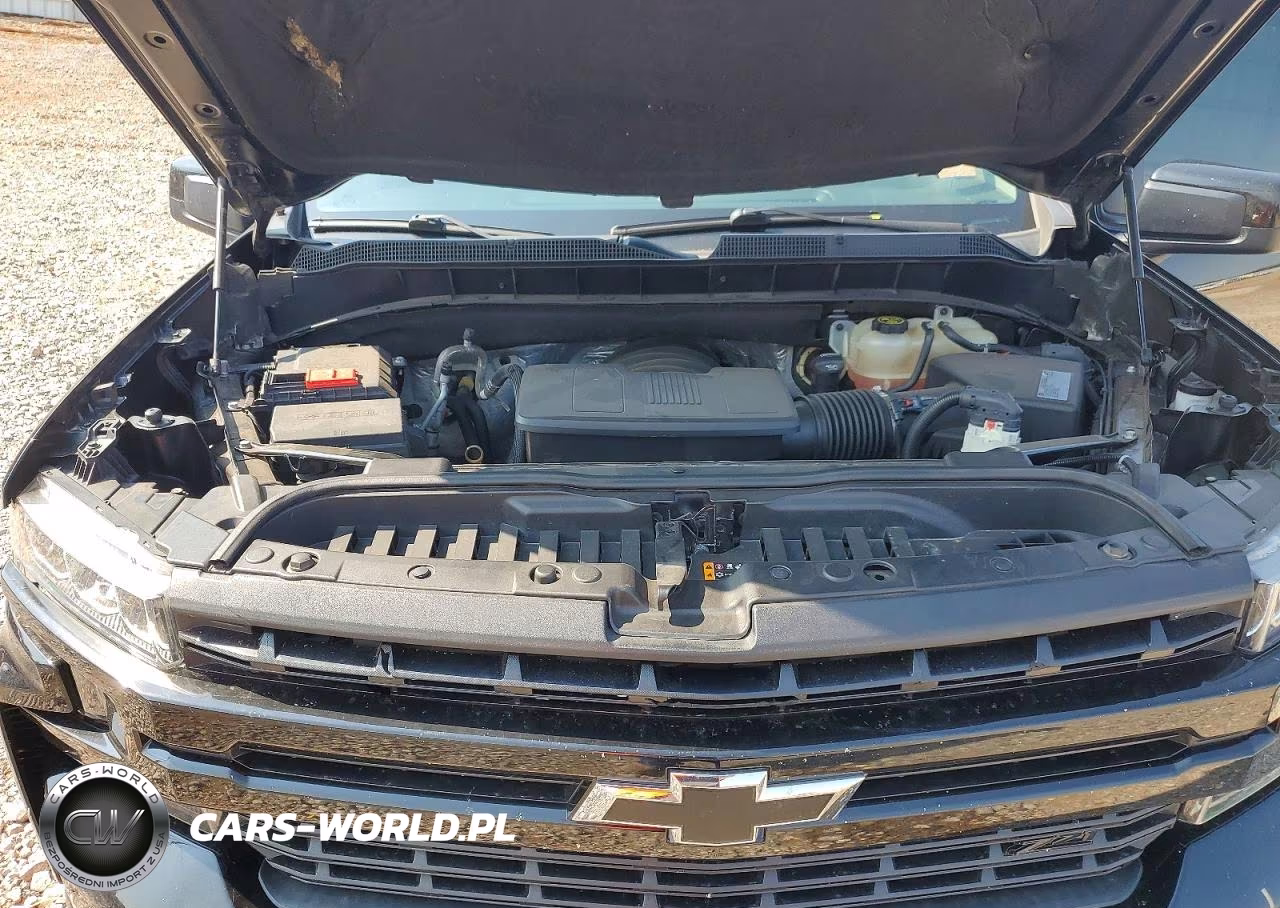 2019 Chevrolet Silverado K1500 Lt Trail Boss VIN:3GCPYFED4KG166199 - 11