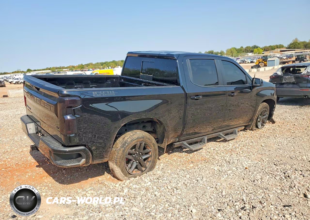 2019 Chevrolet Silverado K1500 Lt Trail Boss VIN:3GCPYFED4KG166199 - 3