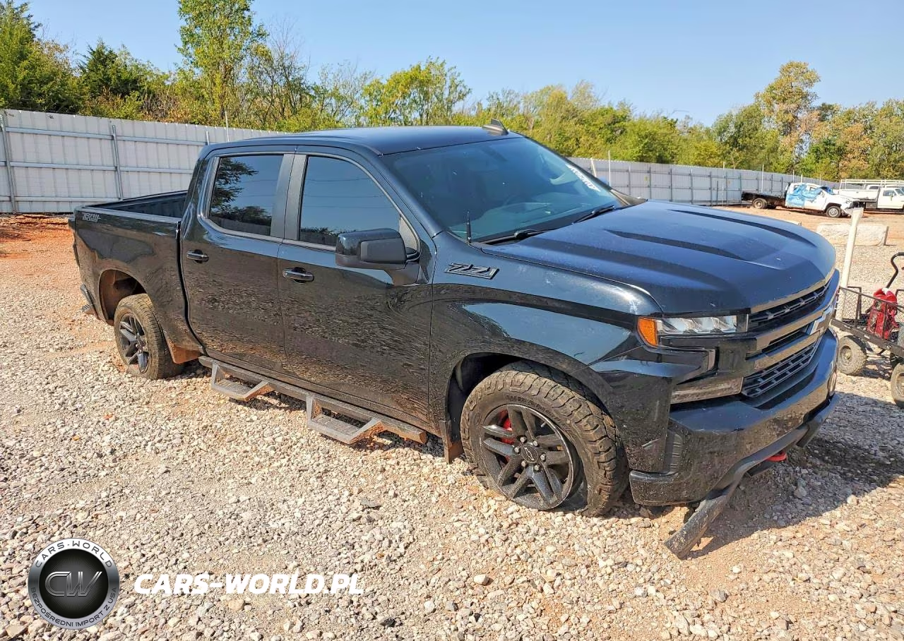 2019 Chevrolet Silverado K1500 Lt Trail Boss VIN:3GCPYFED4KG166199 - 4