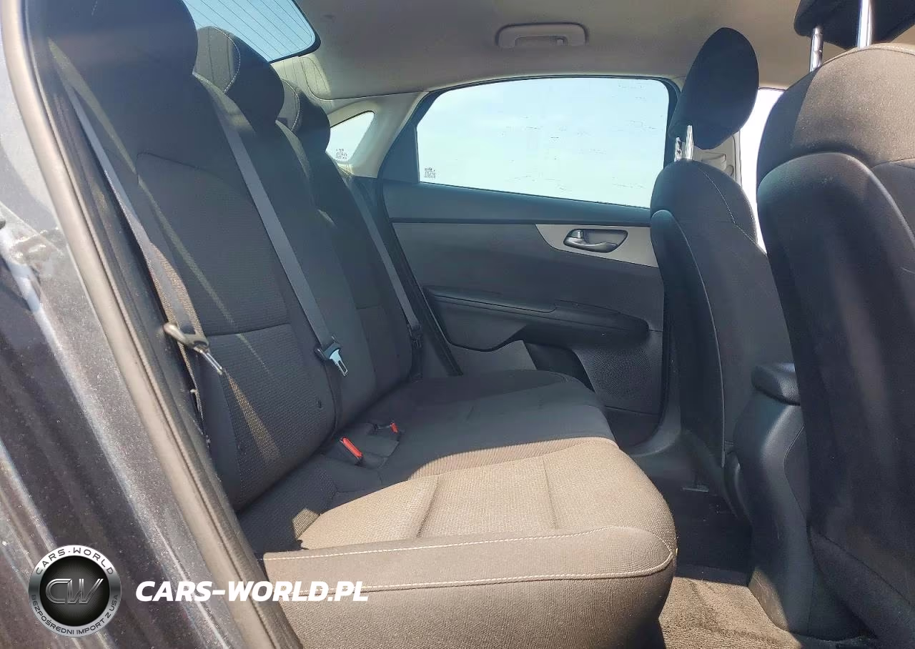 2019 Kia Forte Fe VIN:3KPF24AD9KE137168 - 10