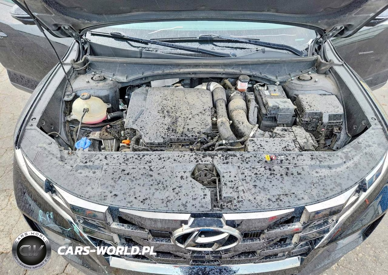 2023 Hyundai Santa Cruz Limited VIN:5NTJEDAF3PH042354 - 11