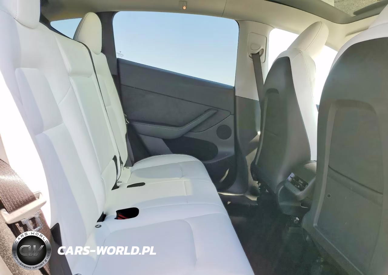 2024 Tesla Model Y VIN:7SAYGDEE2RF082552 - 10