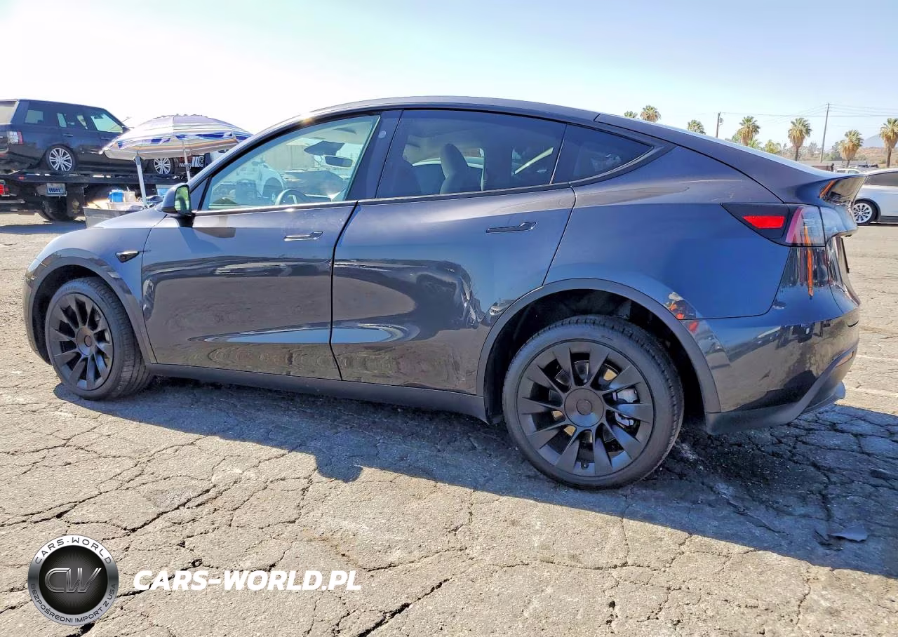 2024 Tesla Model Y VIN:7SAYGDEE2RF082552 - 2