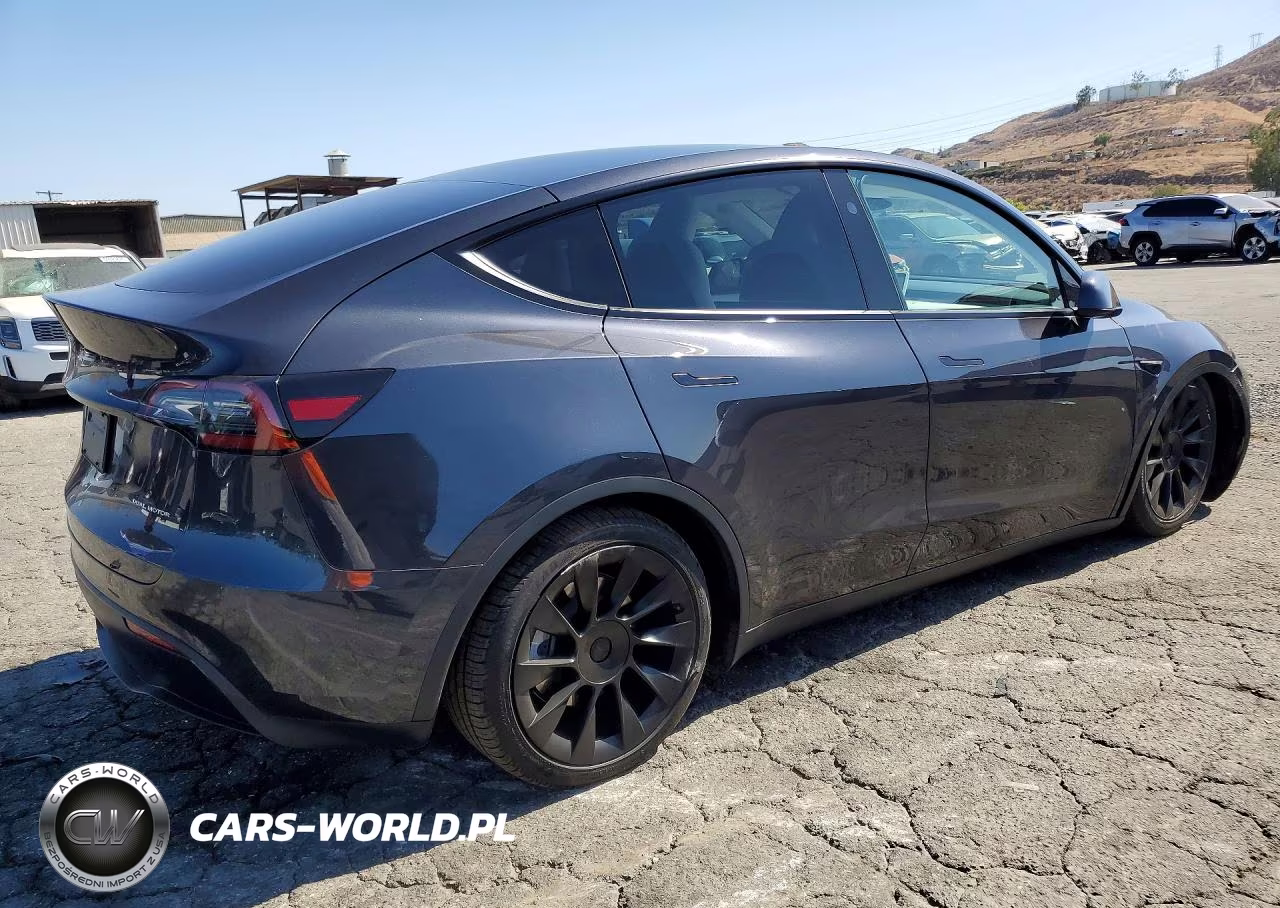 2024 Tesla Model Y VIN:7SAYGDEE2RF082552 - 3