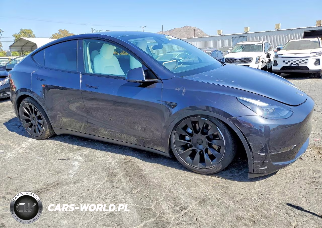 2024 Tesla Model Y VIN:7SAYGDEE2RF082552 - 4