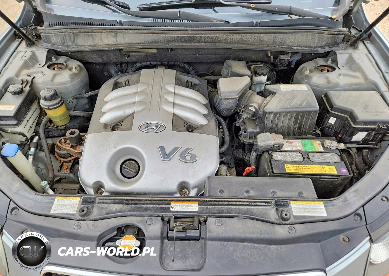 2007 Hyundai Santa Fe Se VIN:5NMSH13E17H024879 - 12