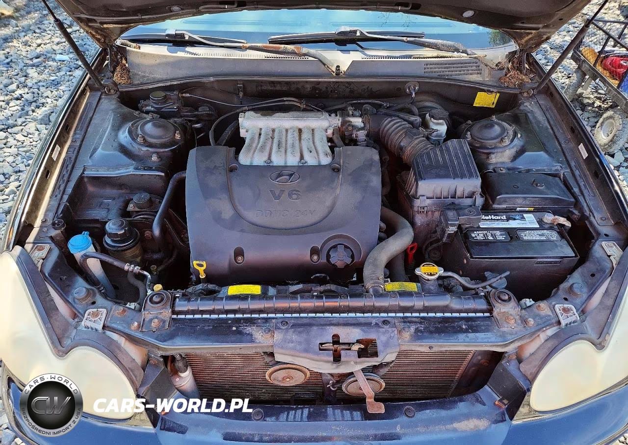 2003 Hyundai Sonata Gls VIN:KMHWF35H83A802301 - 11