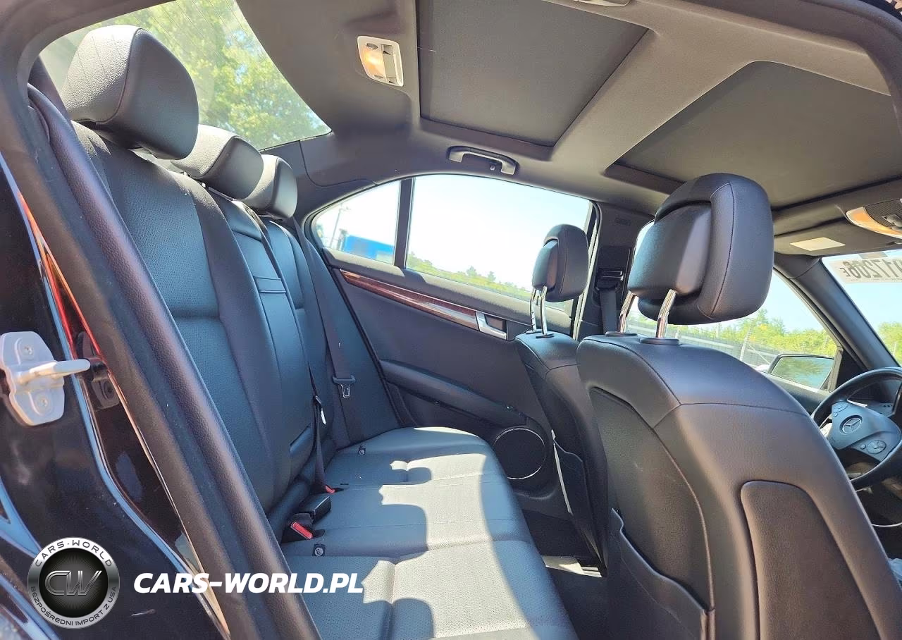 2010 Mercedes-Benz C 300 4Matic VIN:WDDGF8BB9AF413484 - 10