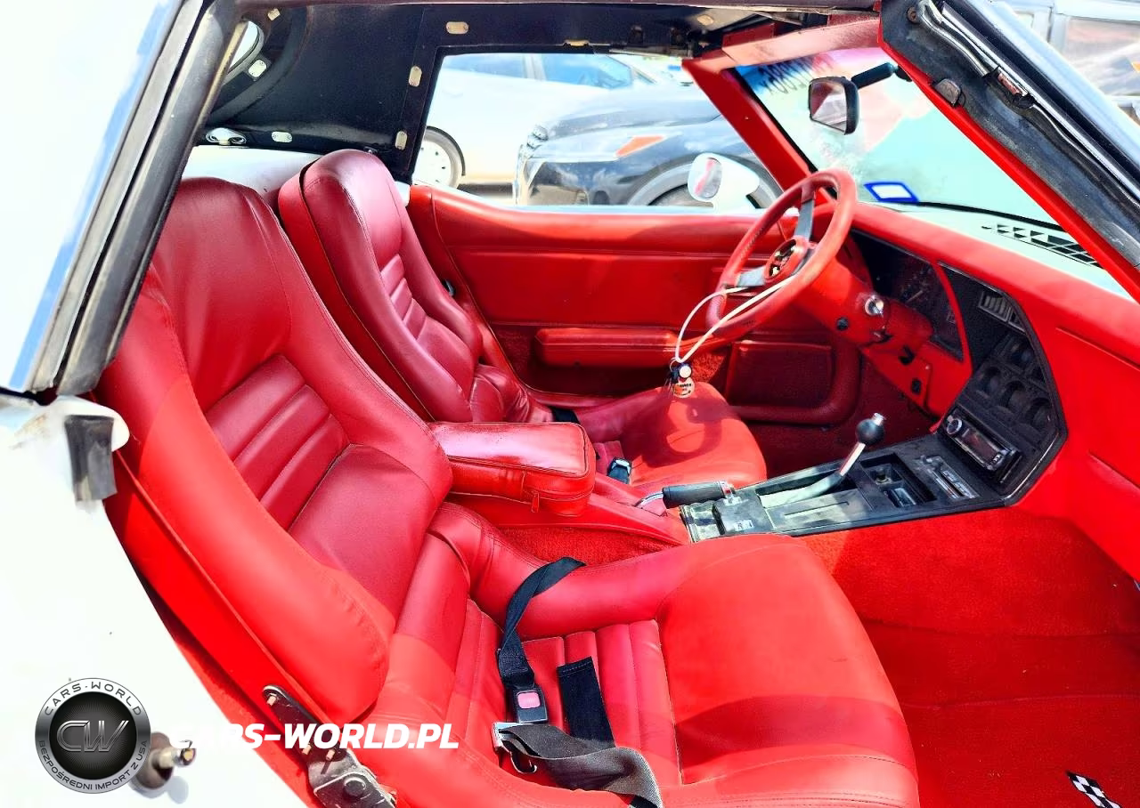 1981 Chevrolet Corvette VIN:1G1AY8760BS420489 - 10