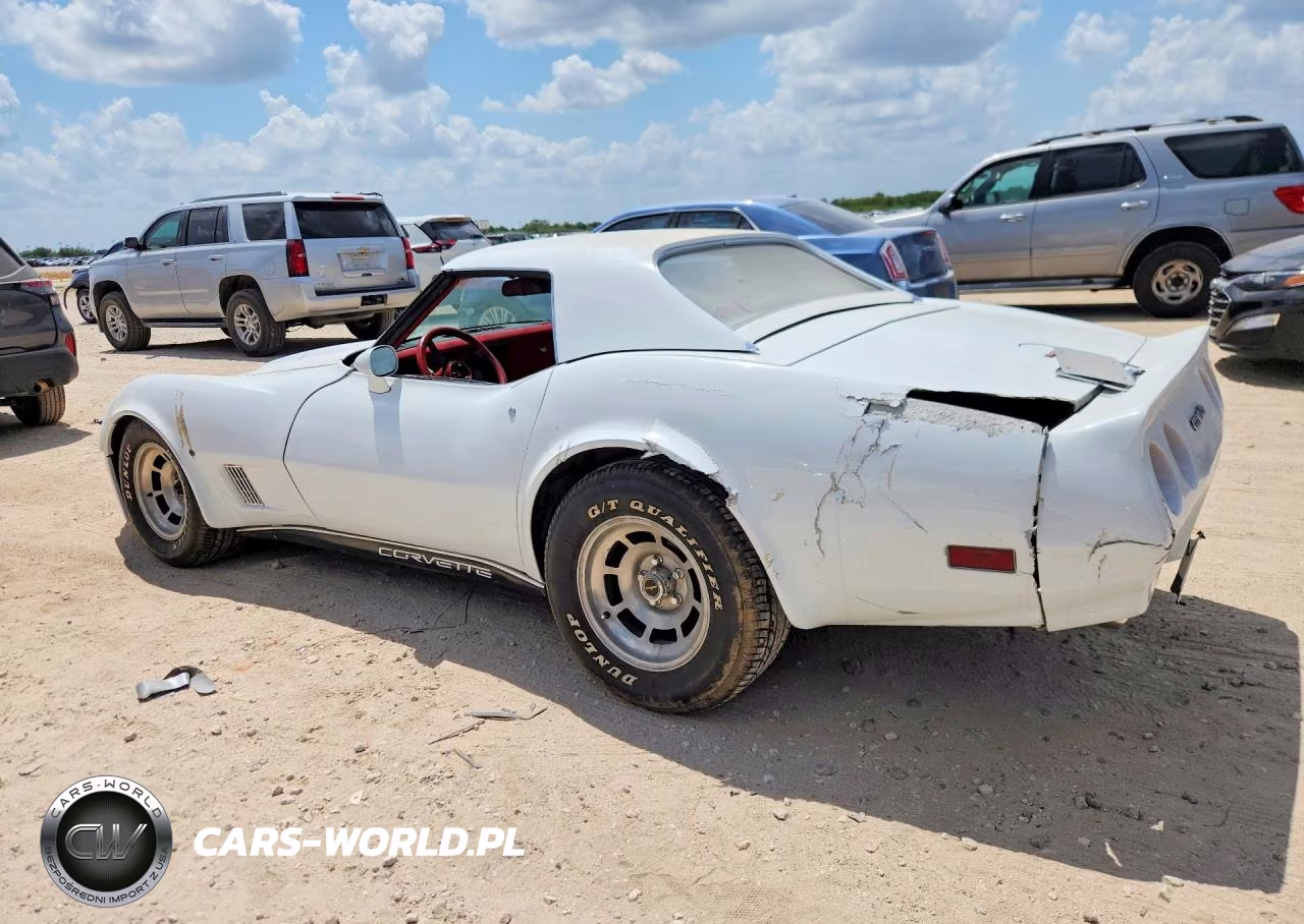 1981 Chevrolet Corvette VIN:1G1AY8760BS420489 - 2