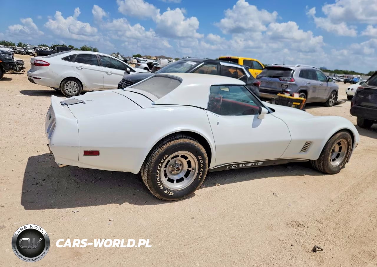 1981 Chevrolet Corvette VIN:1G1AY8760BS420489 - 3