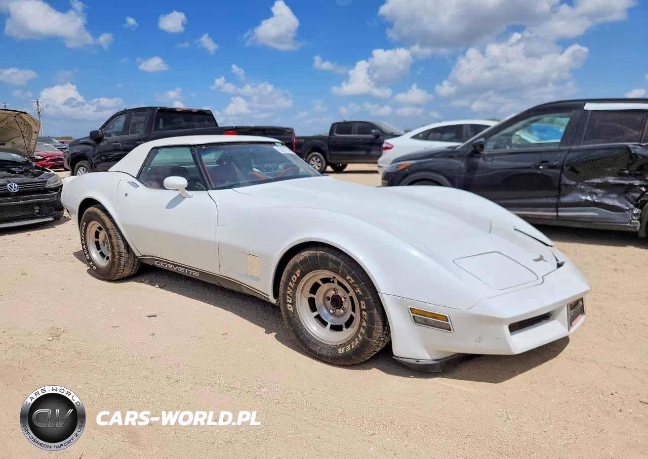 1981 Chevrolet Corvette VIN:1G1AY8760BS420489 - 4