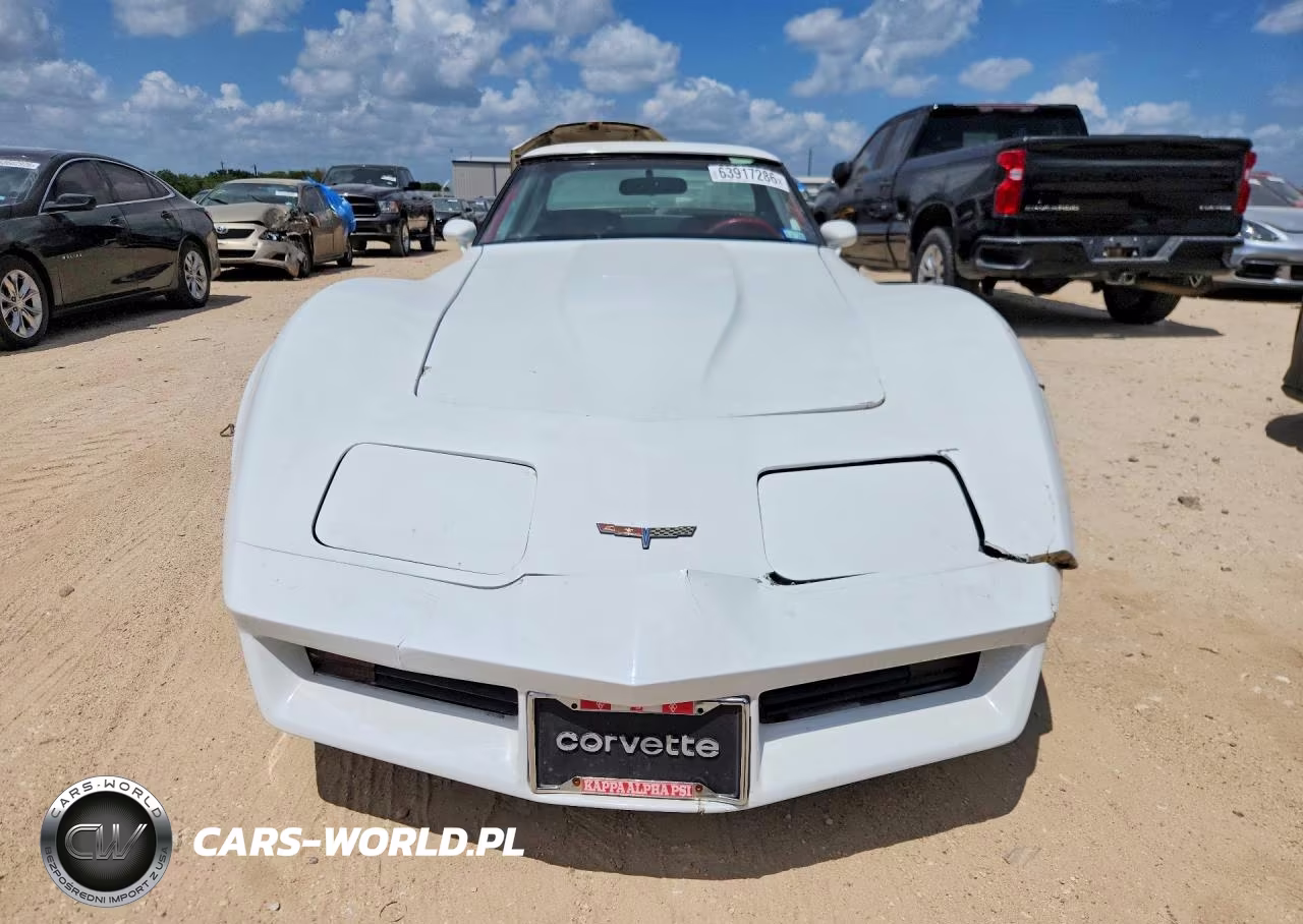 1981 Chevrolet Corvette VIN:1G1AY8760BS420489 - 5