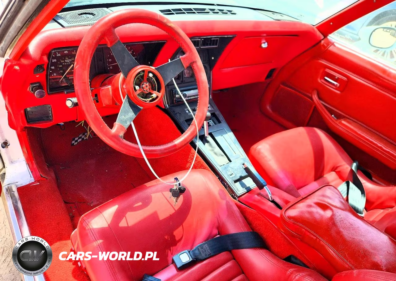 1981 Chevrolet Corvette VIN:1G1AY8760BS420489 - 8