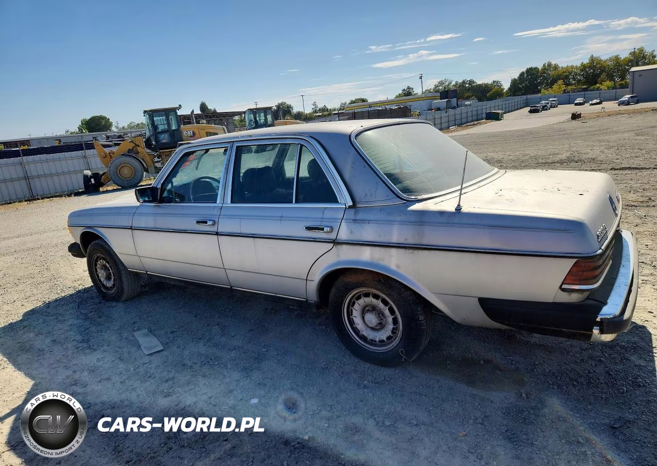 1980 Mercedes-Benz 300-Class VIN:WDBAB33A6CB004307 - 2