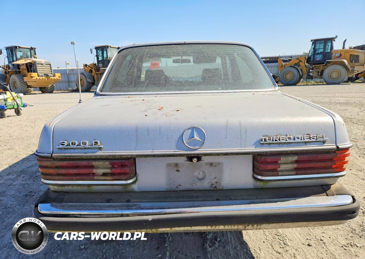 1980 Mercedes-Benz 300-Class VIN:WDBAB33A6CB004307 - 6