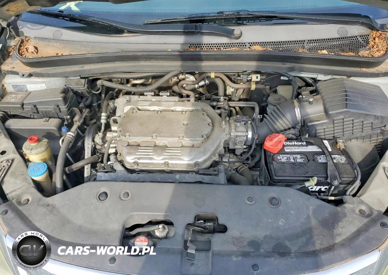 2009 Honda Odyssey Exl VIN:5FNRL38719B001853 - 12