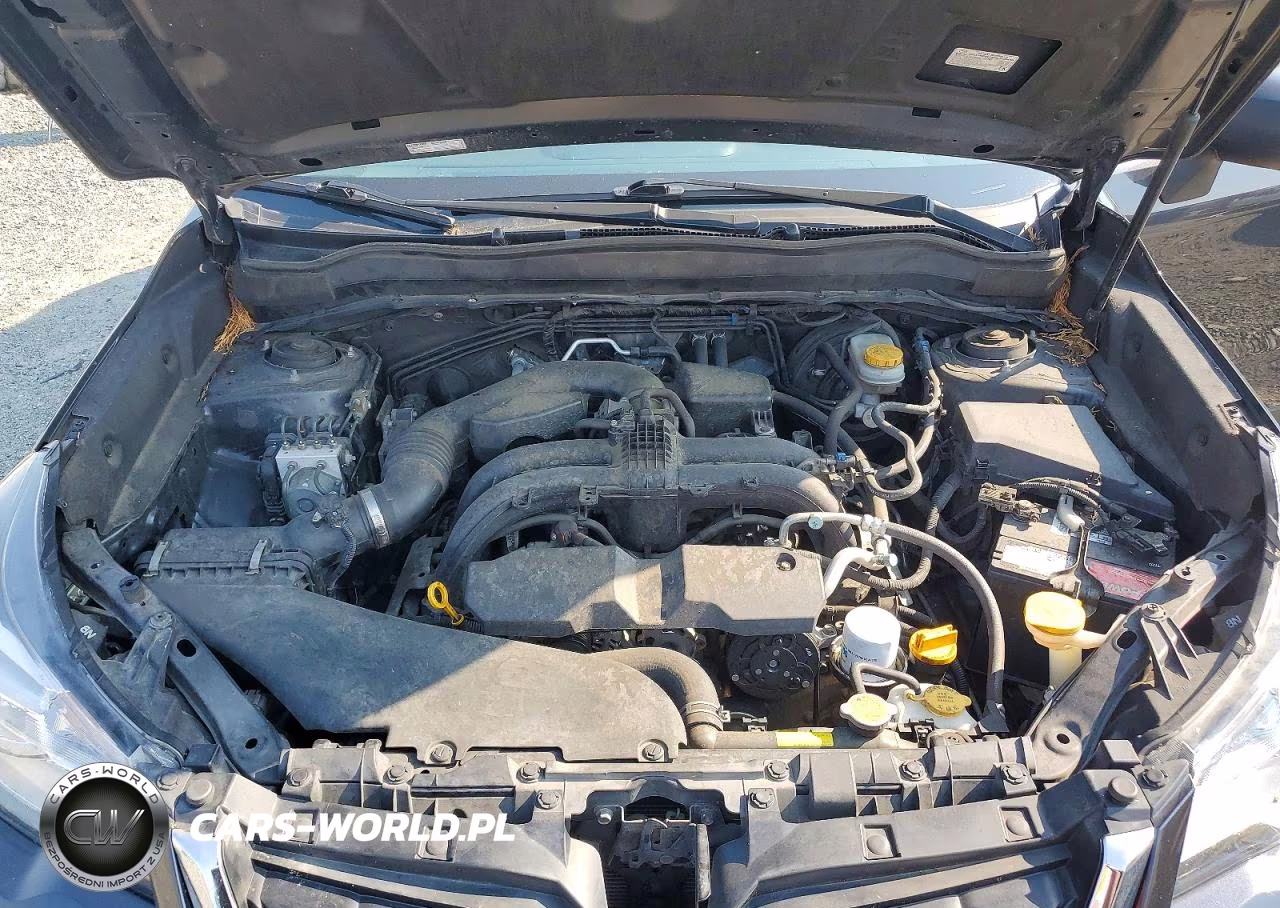 2017 Subaru Forester 2.5I VIN:JF2SJABC1HH804132 - 12