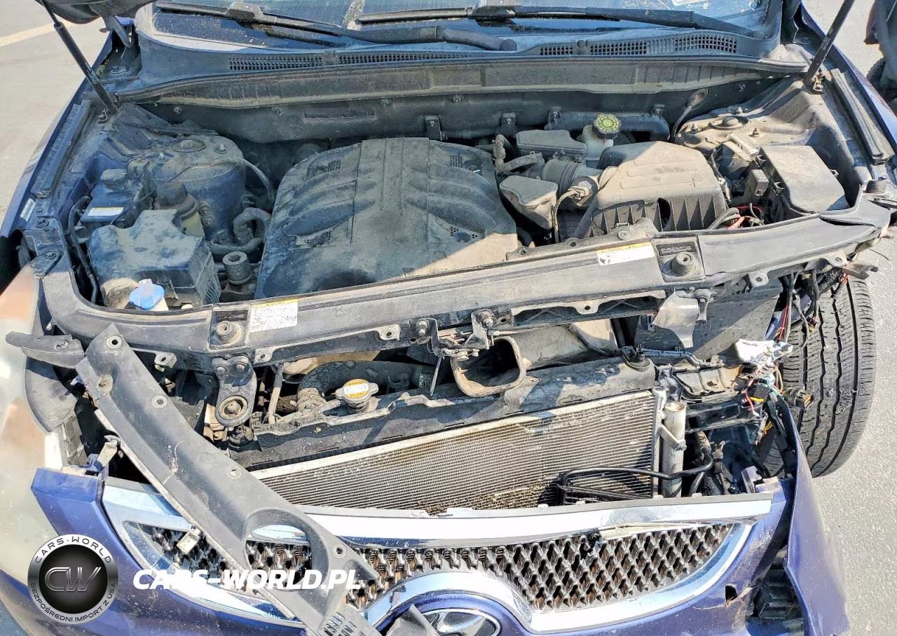 2008 Hyundai Veracruz Gls VIN:KM8NU13C58U031816 - 12